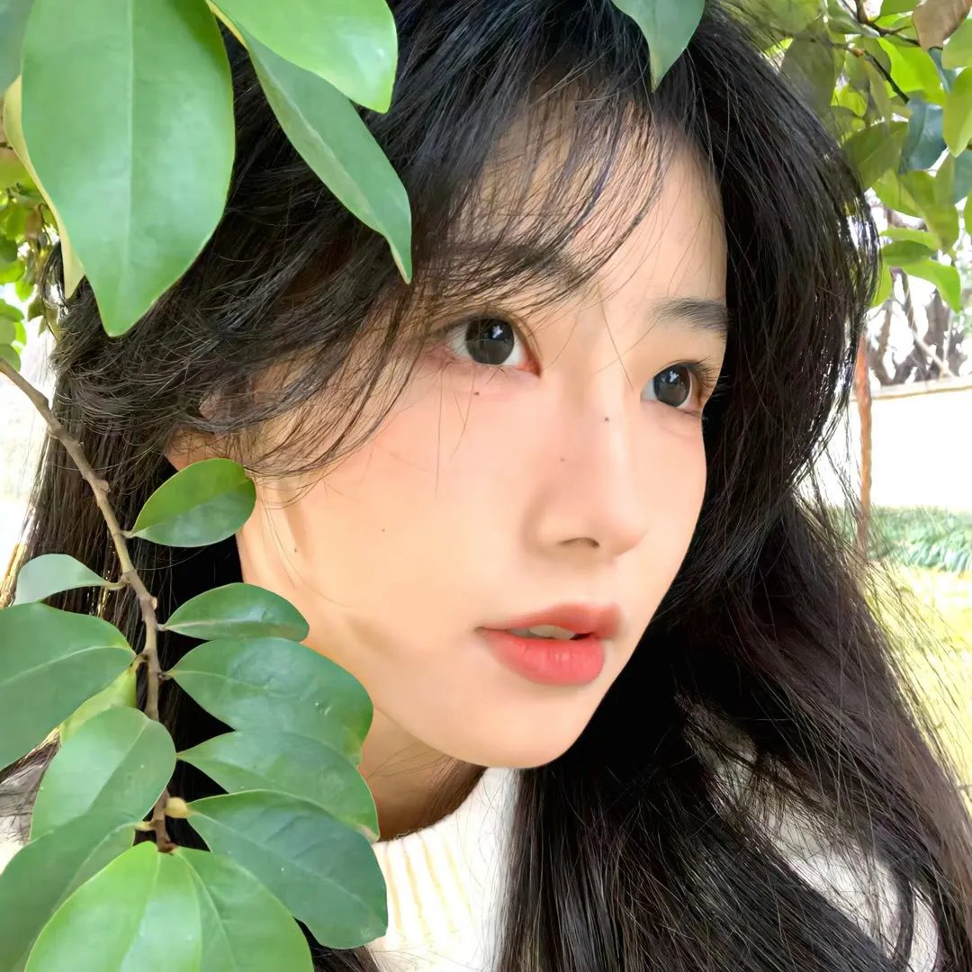 红颜的岁月