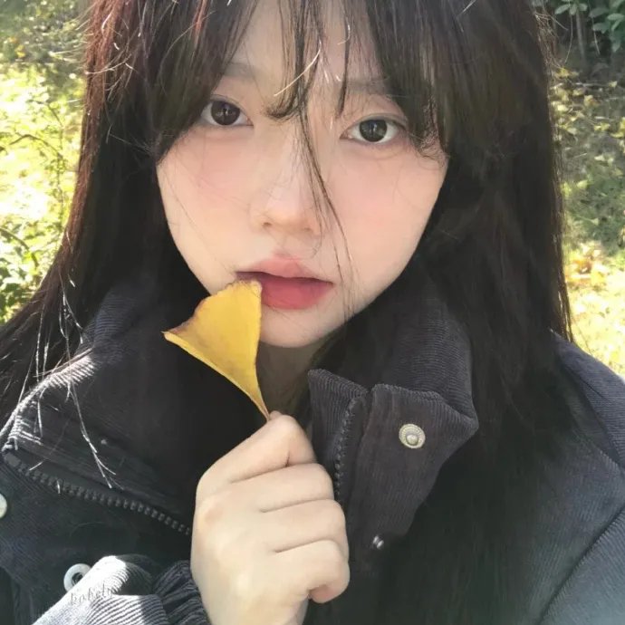 夏天的故事